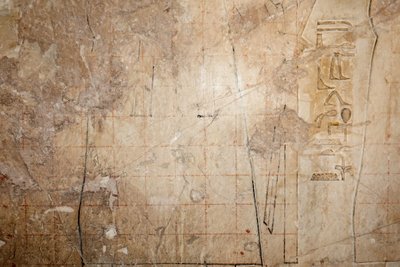 Progetto per una copia di un disegno a griglia, Tempio di Horus, Edfu da Egyptian Egyptian