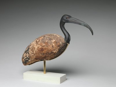 Ibis (legno dipinto e bronzo, occhi di vetro) da Egyptian Ptolemaic Period