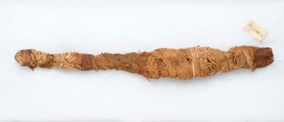 Mummia di un coccodrillo, trovata a Manfalont, 305-30 a.C. da Egyptian Ptolemaic Period