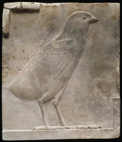 Placca in rilievo raffigurante un pulcino, c.330-305 a.C. da Egyptian Ptolemaic Period