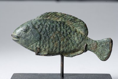 Pesce Tilapia da Egyptian Ptolemaic Period