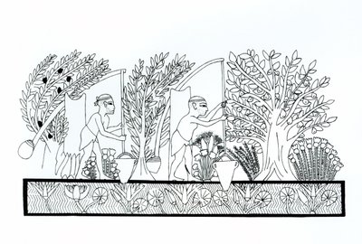 Un giardino egiziano antico da Egyptian School
