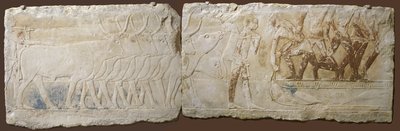 Rilievo di Contadini che Guidano il Bestiame e Pescano, Antico Regno, 2450-2290 a.C. da Egyptian School