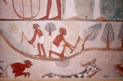 Scena di agricoltura (mietitura e taglio del legno), dalla tomba dello scriba Menna, Egitto, Sheikh Abd el-Qurna, Valle dei Nobili da Egyptian School