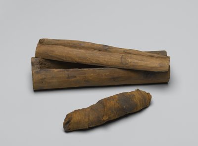 Piccola bara di serpente, con mummia, 664 a.C.-322 a.C. da Egyptian School