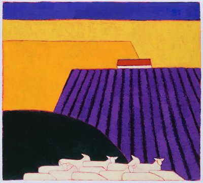 Pecore e Campi di Lavanda da Eithne Contemporary Artist Donne