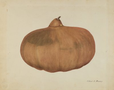 Zucca di sale del pioniere da Elbert S. Mowery