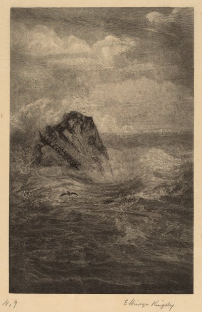 Una roccia nel mare da Elbridge Kingsley