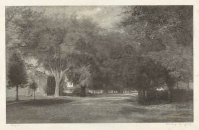 Olmi del New England da Elbridge Kingsley