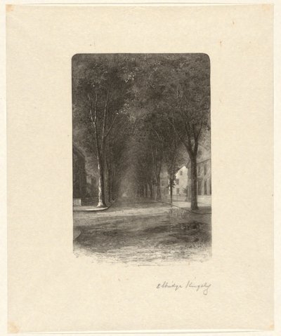 Senza titolo [Strada alberata] da Elbridge Kingsley
