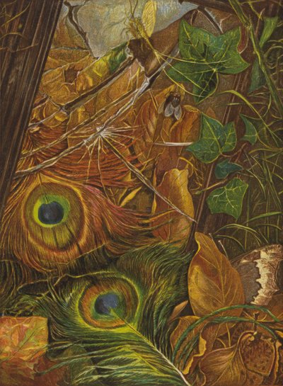 E il bambino non si curava dello specchio da Eleanor Fortescue Brickdale