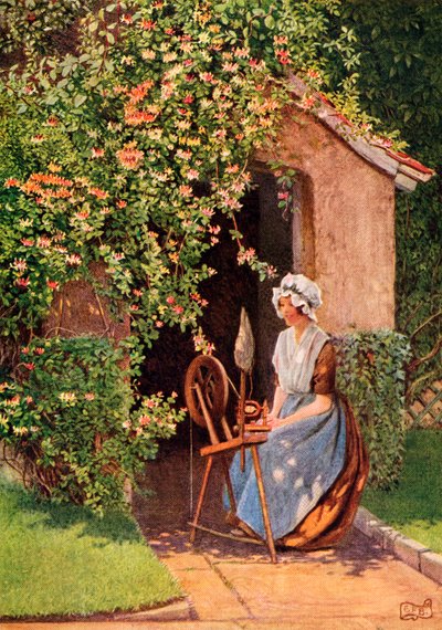 Illustrazione per la poesia Un desiderio di Rogers, dal libro 