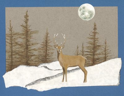 Incontro notturno, 2012 (acquerello su carta e collage) da Eleanor Grafton