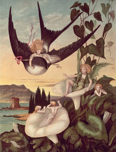 Illustrazione per 
