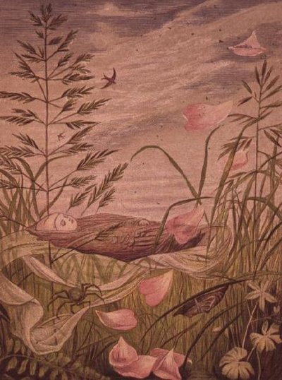 Quando inizia la primavera da Eleanor Vere Boyle