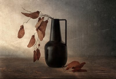 Vaso nero con baccelli essiccati da Elena Arjona