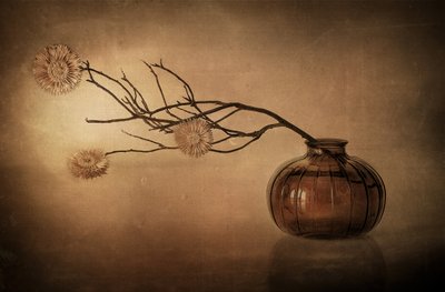 Natura morta con vaso rustico da Elena Arjona