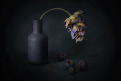 Fiori e bacche in ombra da Elena Arjona