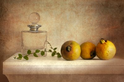 Natura morta vintage con guava da Elena Arjona