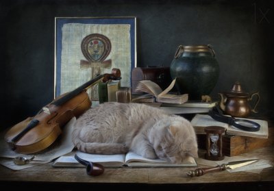Lo studio del gatto addormentato da Eleonora Grigorjeva