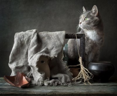Natura morta vintage con gatto da Eleonora Grigorjeva