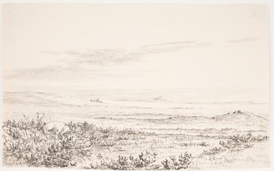 Paesaggio collinare con due volpi da Eleonore Christine Tscherning