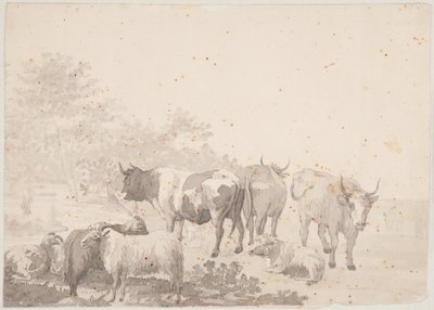 Mandria da Elias Martin