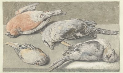 Natura morta con quattro uccelli morti da Elias Vonck