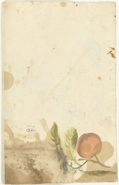 Arancia da Elias van Nijmegen