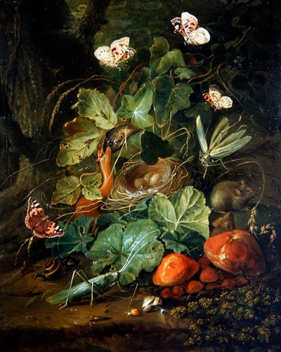Natura morta di frutti e farfalle sul pavimento di una foresta da Elias van den Broeck