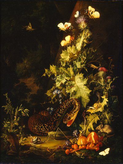 Natura morta con un serpente, inizio XVIII secolo da Elias van den Broeck