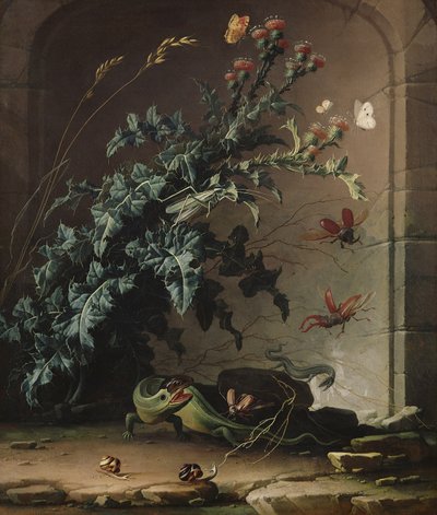 Nicchia di pietra con cardo, lucertola e insetti da Elias van den Broeck