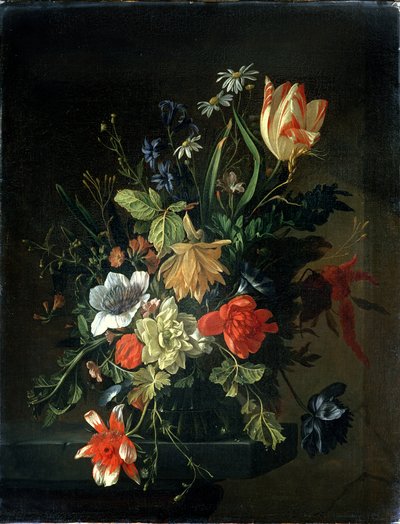 Immagine sconosciuta da Elias van den Broeck