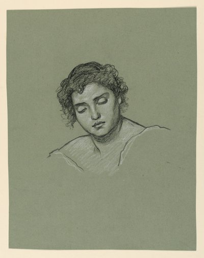 Disegno, Testa di donna, 1885 ca. da Elihu Vedder