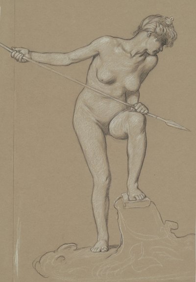 Ragazza che infilza un delfino da Elihu Vedder
