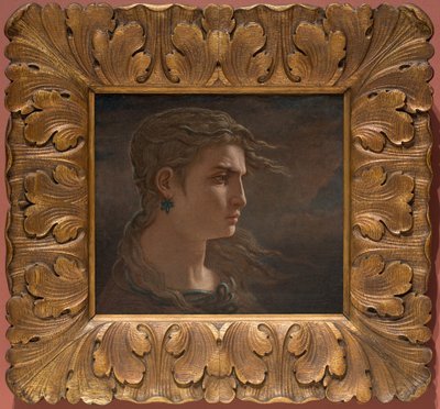 Testa di Medusa da Elihu Vedder