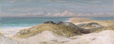 Grotta del serpente marino da Elihu Vedder