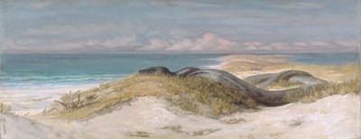  da Elihu Vedder