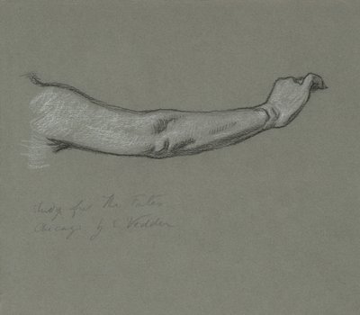 Studio per Le Parche che raccolgono le stelle da Elihu Vedder
