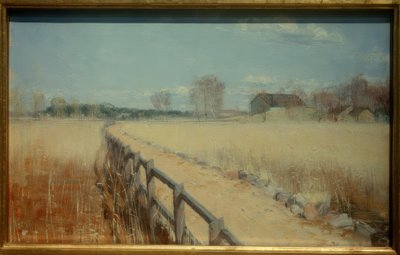 Ponte a Ruissalo da Elin Danielson Gambogi