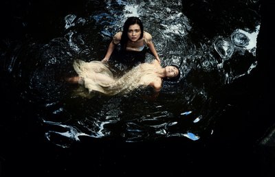 Salvataggio tardivo, 2014 da Elinleticia Högabo