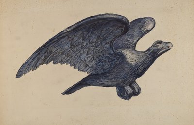 Aquila da Elisabeth Fulda