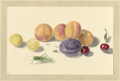 Pesche, prugne, ciliegie e due insetti da Elisabeth Geertruida van de Kasteele