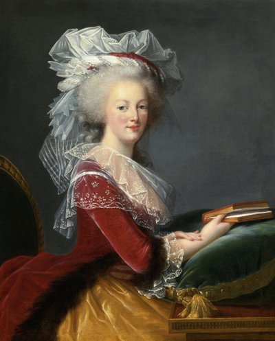 Ritratto di Maria Antonietta di Lorena Asburgo (1755-1793) regina di Francia, dipinto di Marie Louise Elisabeth Vigée Le Brun (1755-1842) 1785, collezione privata da Elisabeth Louise Vigee Lebrun