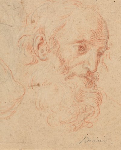  da Elisabetta Sirani