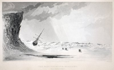 Il branco al largo di Sylvia Headland, illustrazione da 