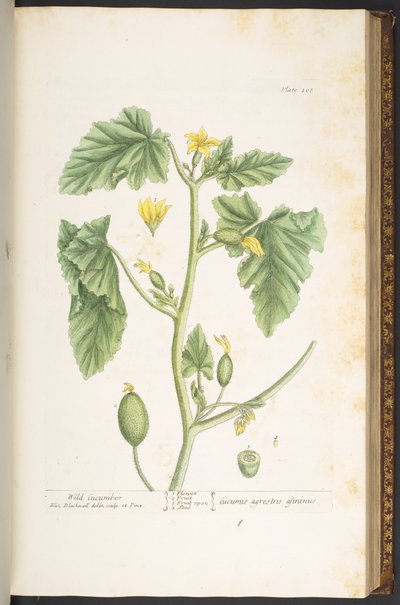 Tavola 108, da 