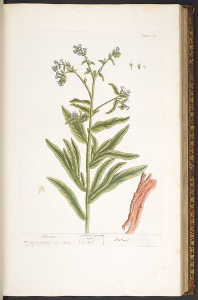Tavola 112, da 
