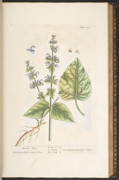 Tavola 122, da 