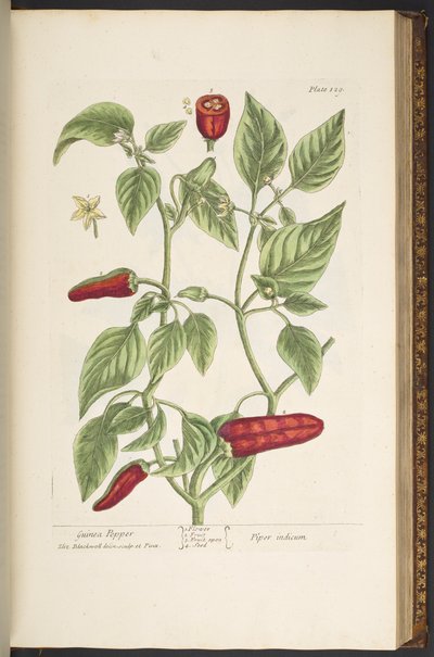 Tavola 129, da 
